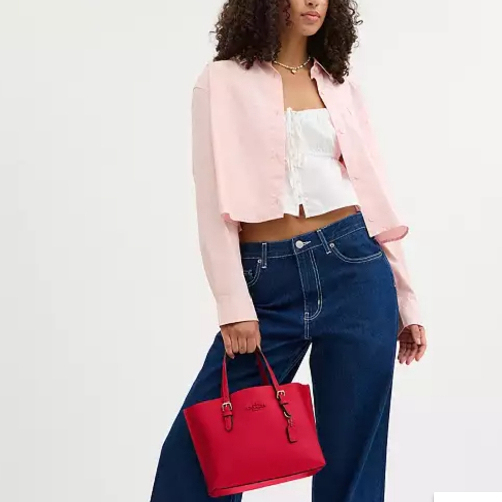 Coach Mollie 25 Bag